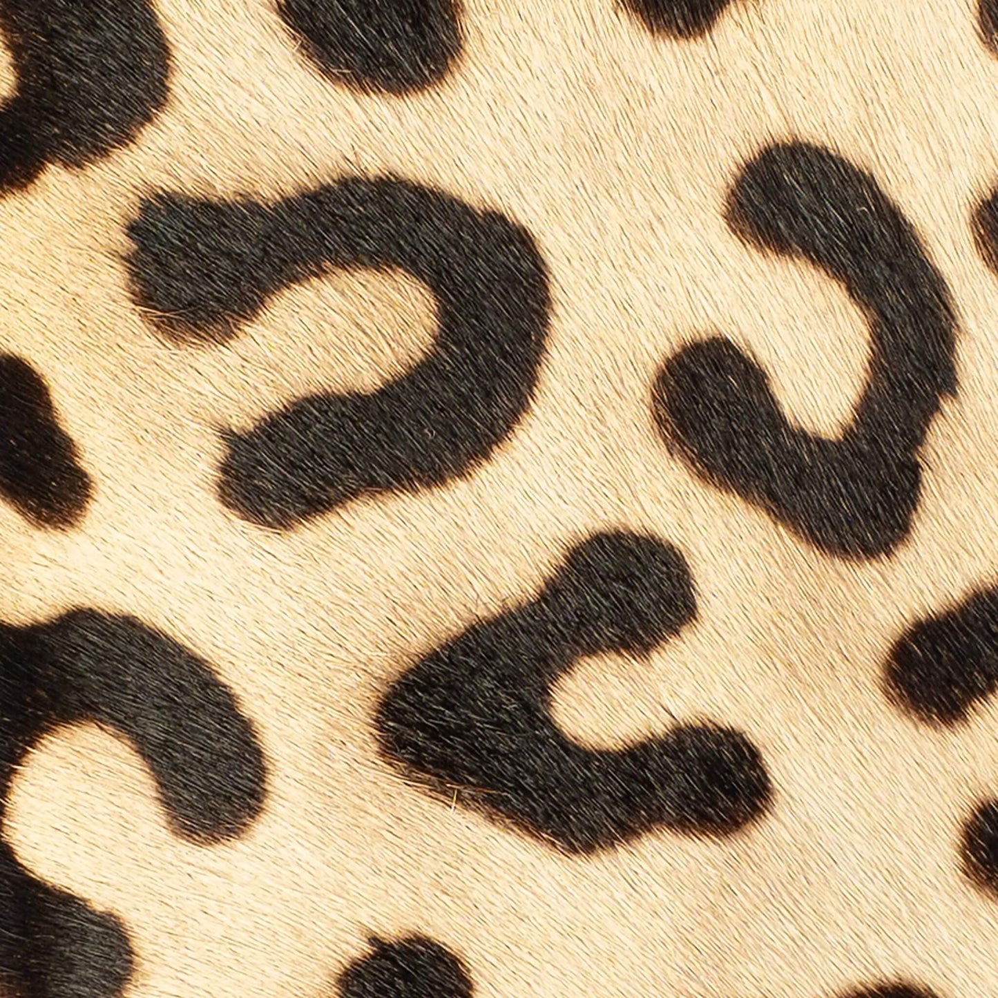 Close-up of the black leopard hide on the Maison Mata Sauvage softcase