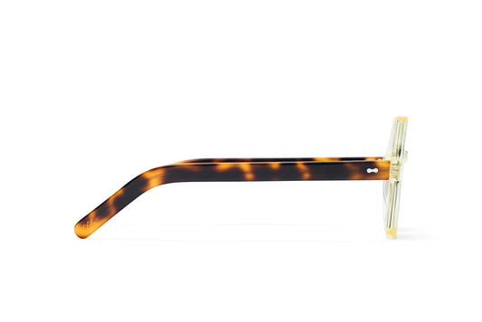 Raja Reef Sunlit Aura