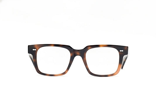 Borneo Bliss Dark Forest