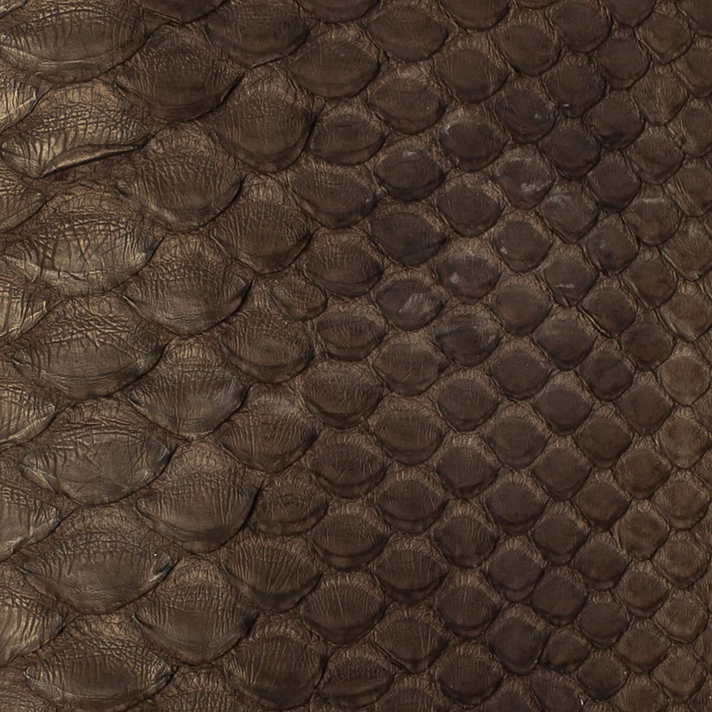 Close-up of the snake-embossed leather on the Maison Mata brown snake softcase