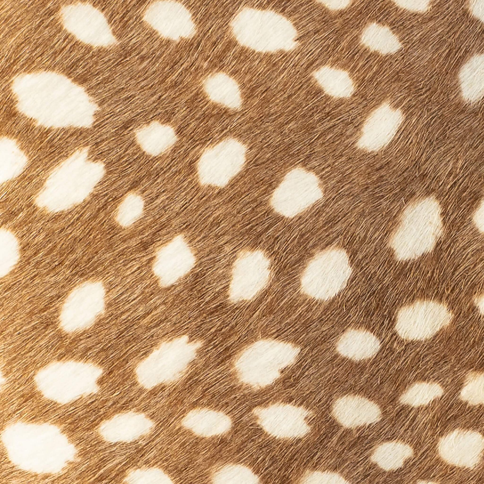 Close-up of the hair-on hide on the Maison Mata deer softcase