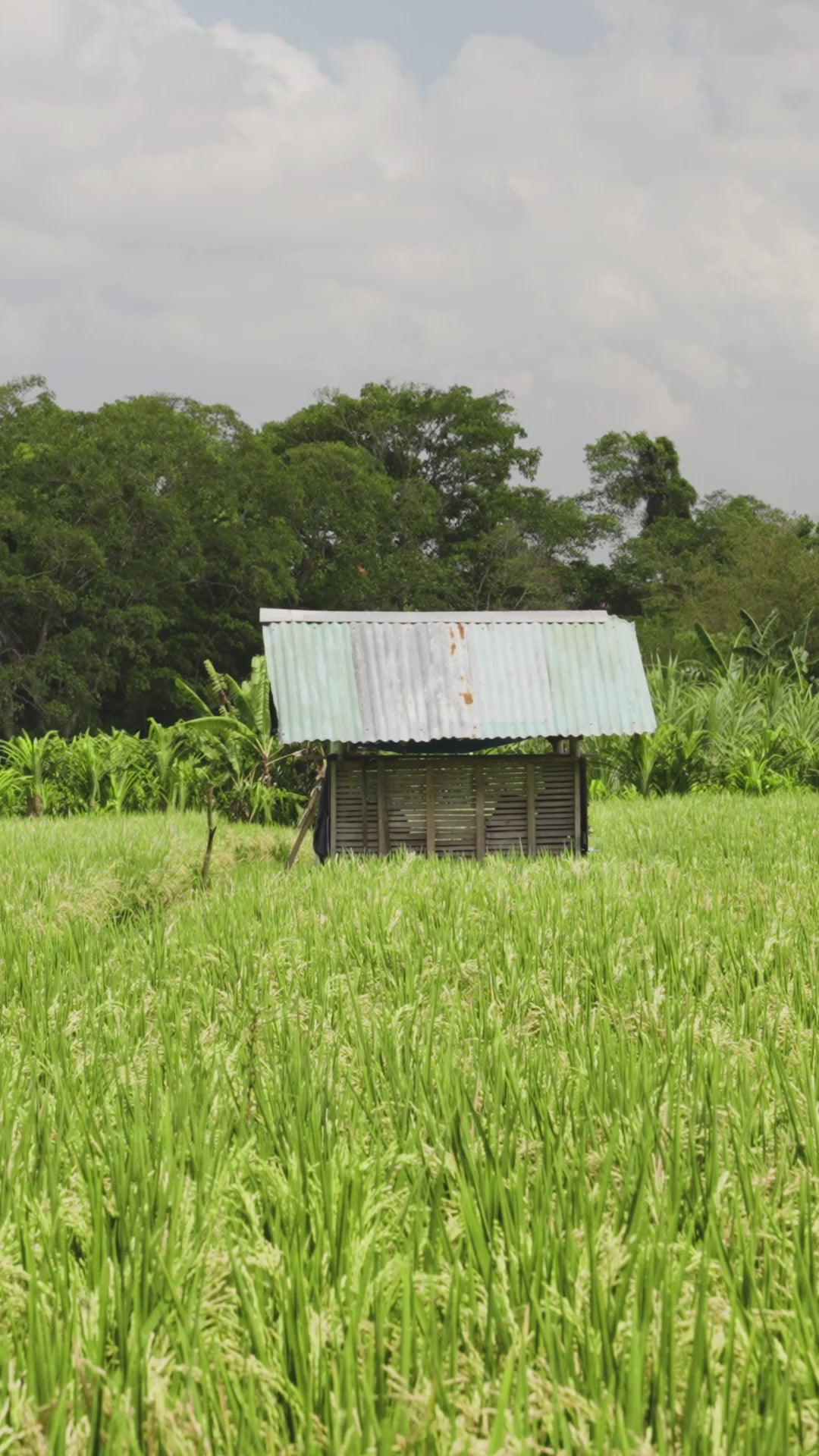 Maison Mata Canggu store featuring sunglasses, optical glasses, handmade workshop, prescription lenses and accessories in Bali.